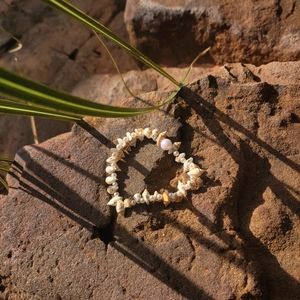 Seashells by the Seashore